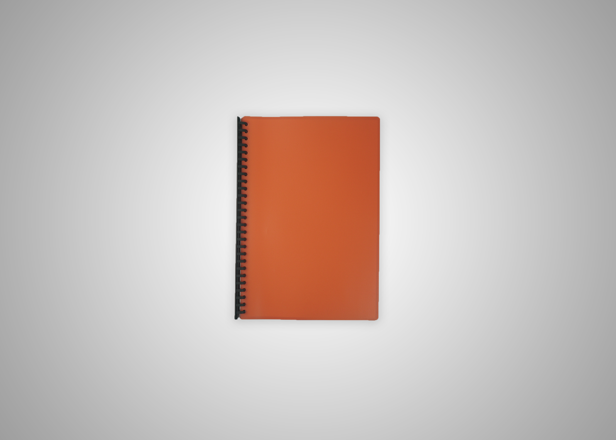 Picture of Clear Book Long 144pcspercs nrp PCS
