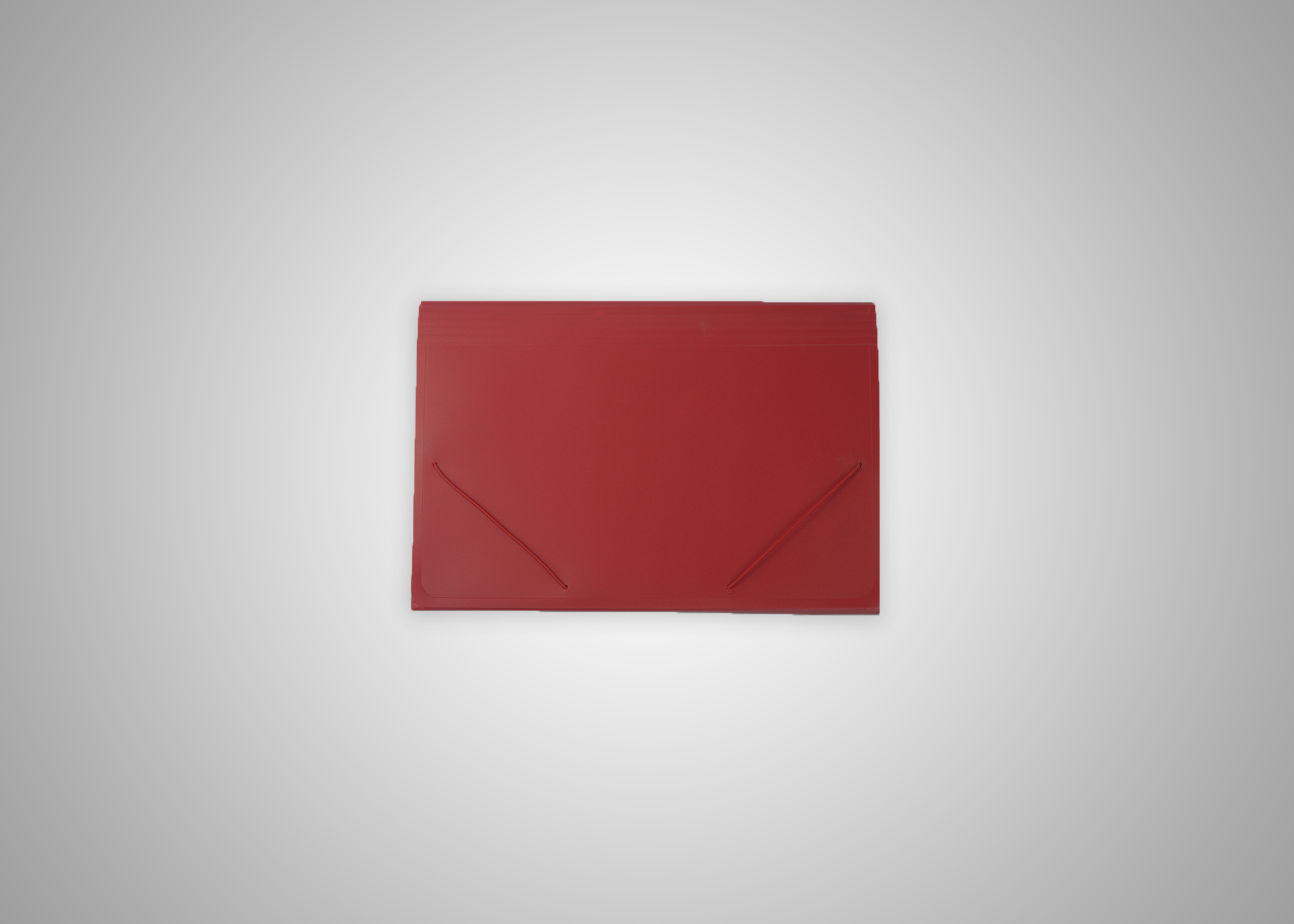 Picture of Expanding File with Garter 24pcspercs nrp PCS