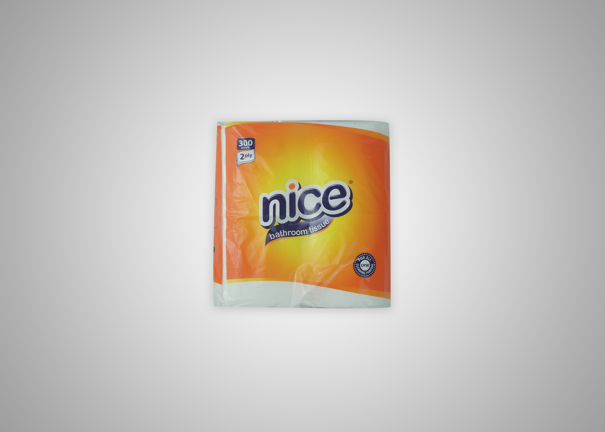 Picture of Nice Bathroom Tissue 2ply 4rollx24pck per cs PACK