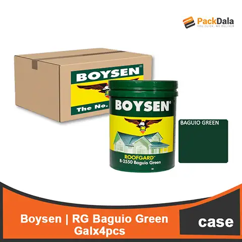 Picture of Boysen RG Baguio Green Galx4pcs CASE