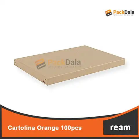 Picture of Cartolina Orange 100pcperrm nrp REAM