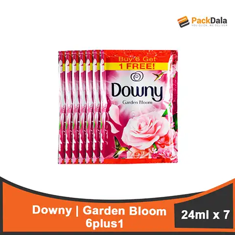 Picture of Downy Garden Bloom 24ml 6plus1 x 60 TIE